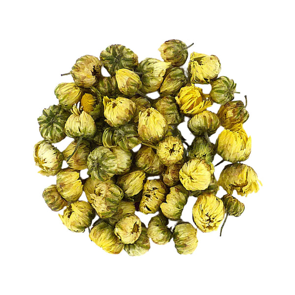 Chrysanthemum Buds 杭州 胎菊