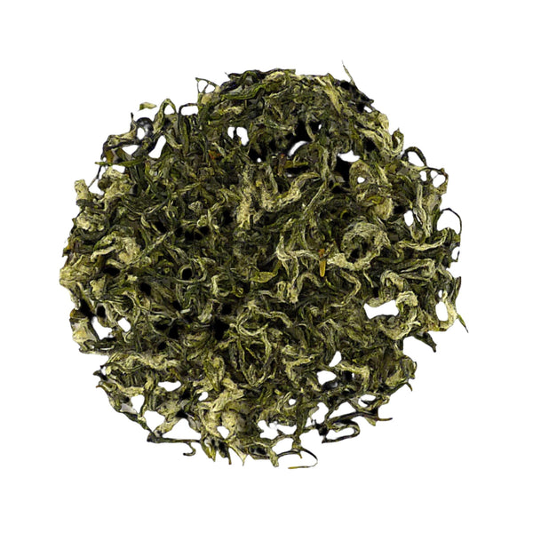 Bi Luo Chun Green Tea 江蘇 碧螺春