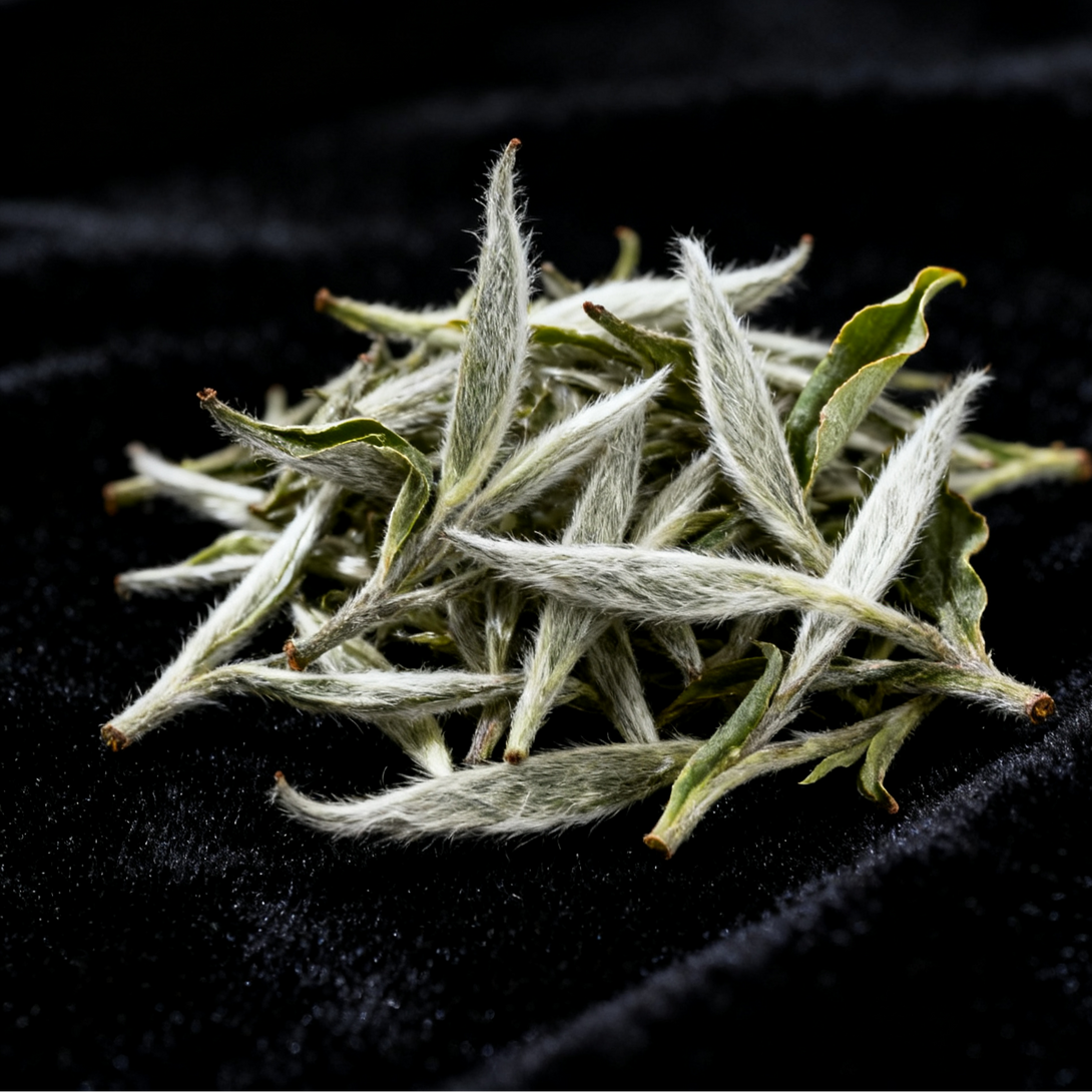 Loose dry tea leaves spread across a dark background for an elegant and clean tea leaf display