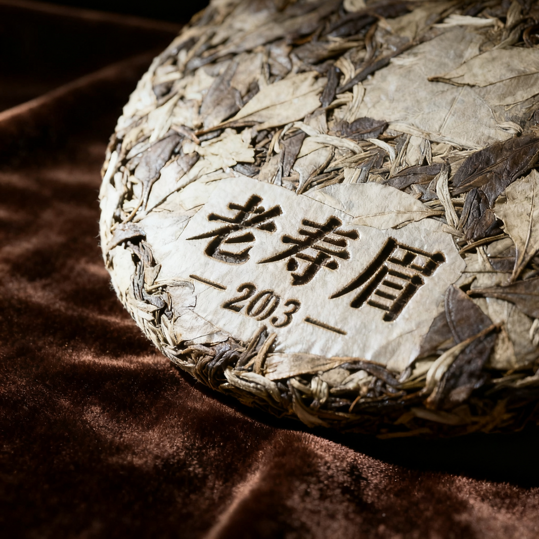 Compressed Shou Mei white tea cake from Fuding Fujian