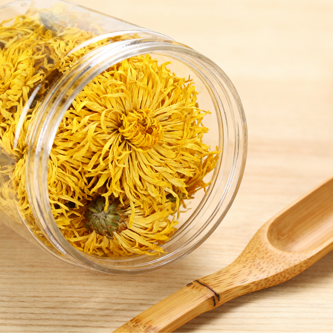 Premium Golden Chrysanthemum Tea blossoms close-up