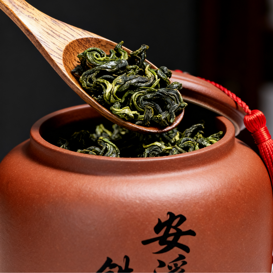 Spoonful of curled green tea leaves over a traditional clay tea jar