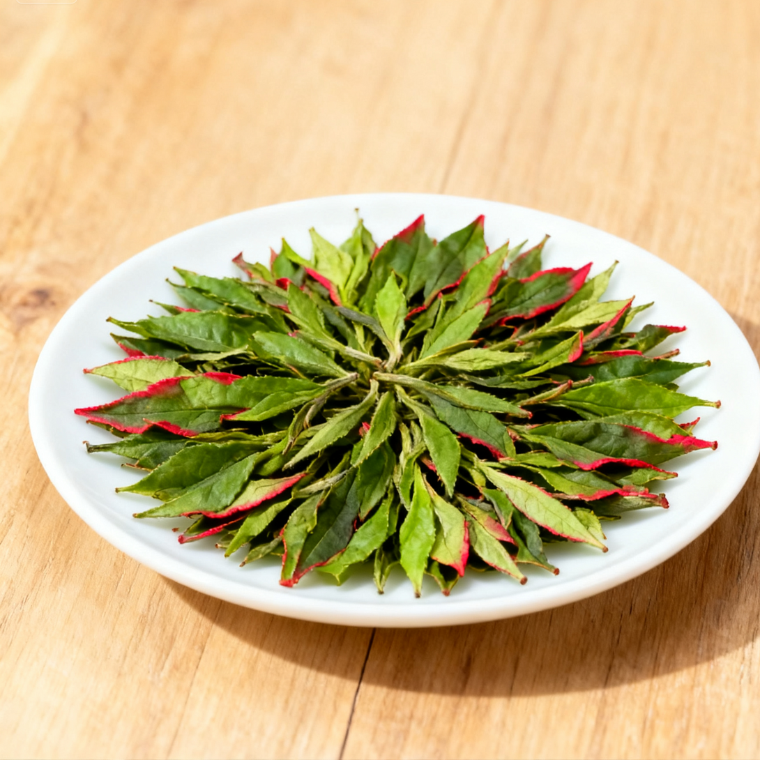 Fresh green tea leaves with red edges arranged neatly on a white plate, placed on a wooden surface