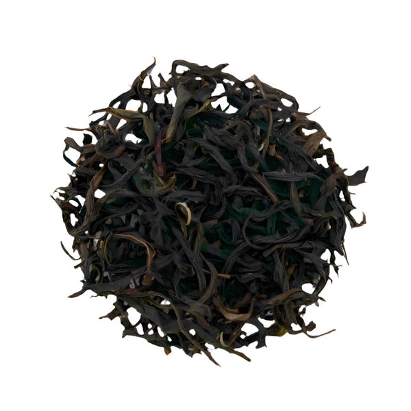 Dong Fang Hong Dan Cong 東方紅單欉